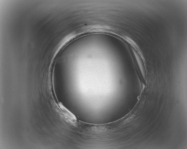 X0000081431384200701191610