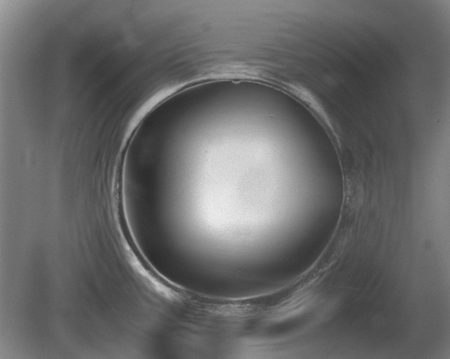 X0000081431387200701191610