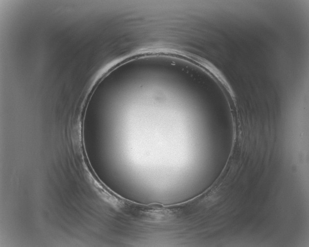 X0000081431388200701191610