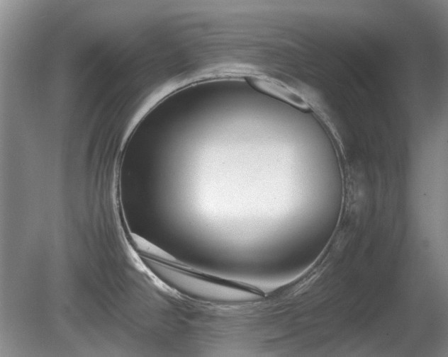 X0000081431390200701191610