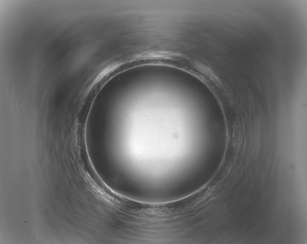 X0000081431404200701191610