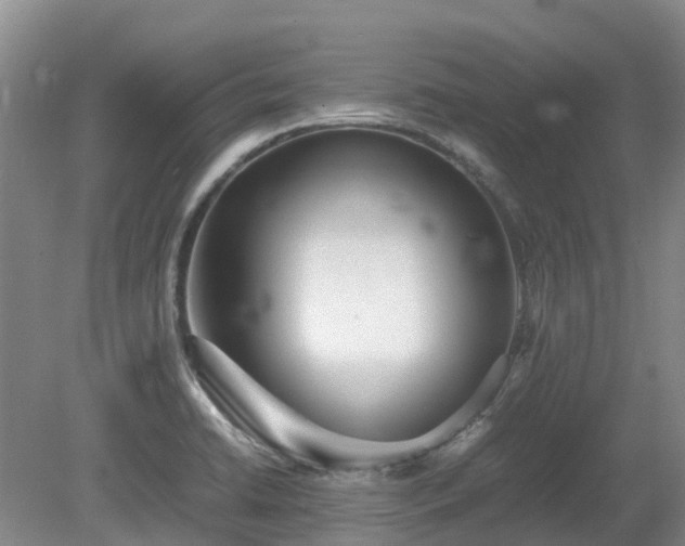 X0000081431422200701191610