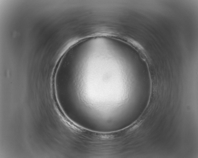 X0000081431423200701191610