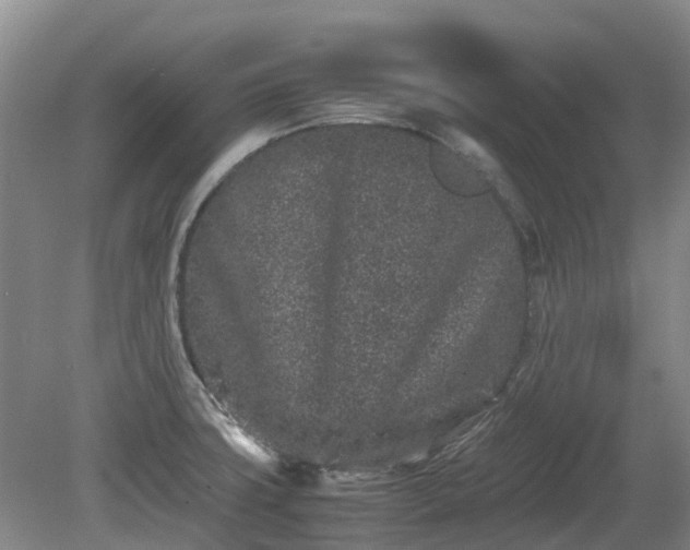 X0000081431427200701191610