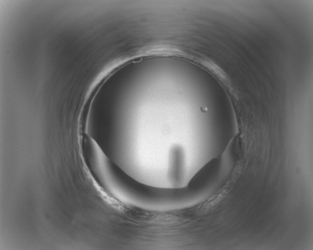 X0000081431430200701191610