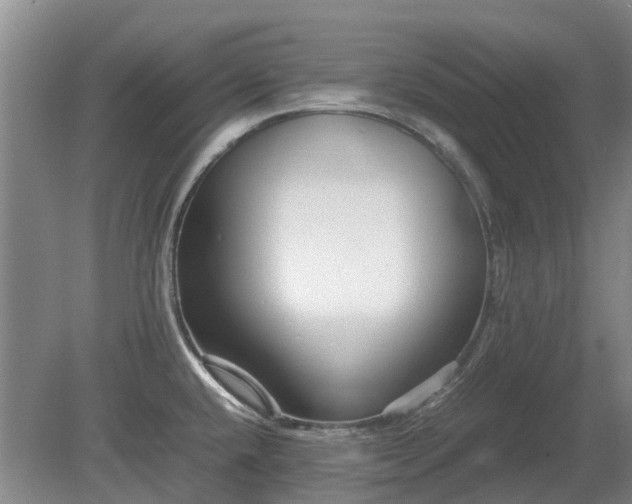 X0000081431432200701191610