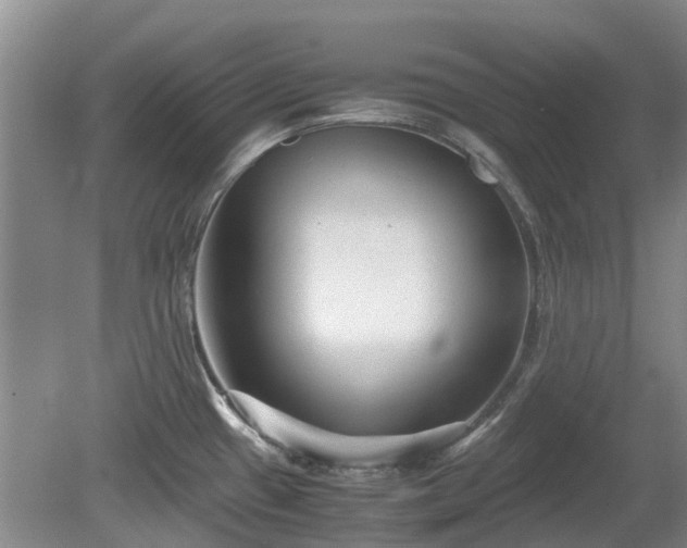 X0000081431433200701191610