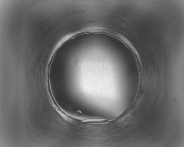 X0000081431437200701191610