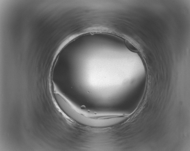 X0000081431440200701191610