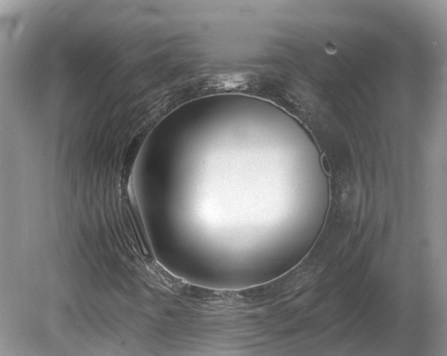 X0000081431442200701191609