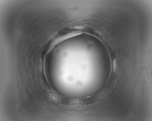 X0000081431443200701191609