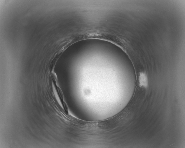 X0000081431444200701191609