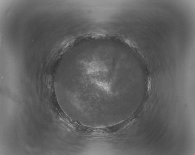 X0000081431445200701191609