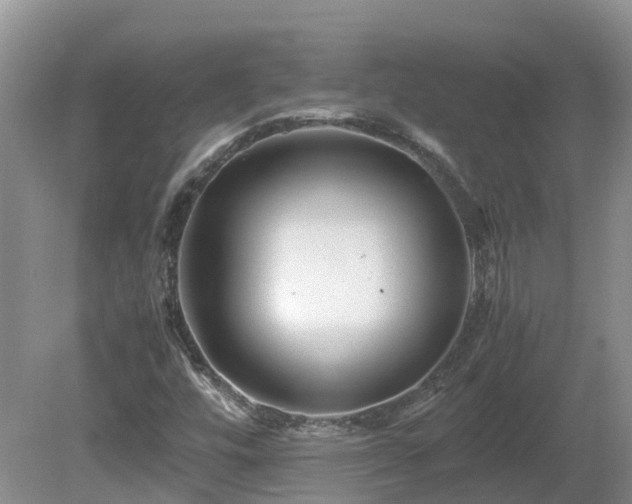 X0000081431448200701191609