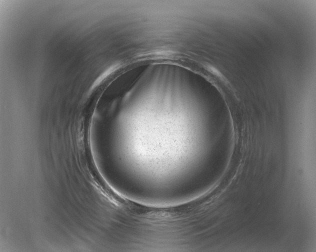 X0000081431450200701191609