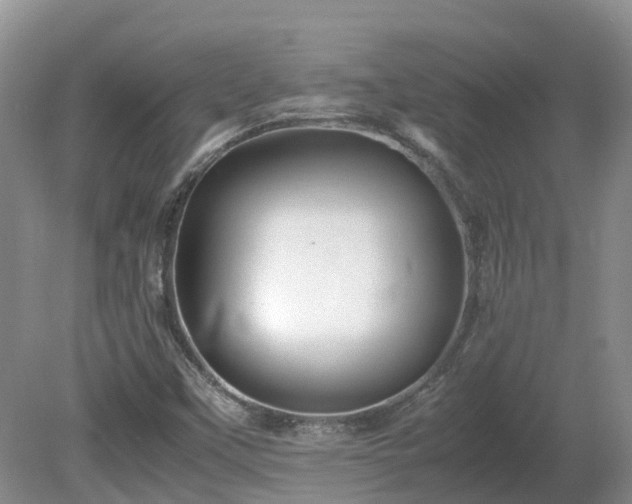X0000081431451200701191609