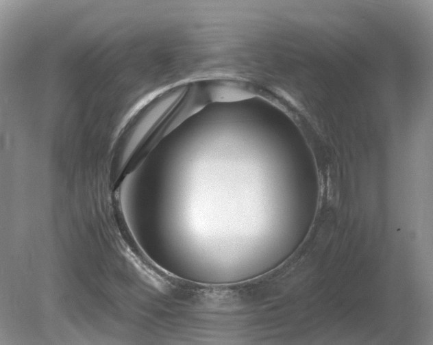 X0000081431452200701191609