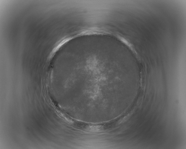 X0000081431453200701191609