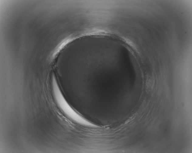 X0000081431455200701191609