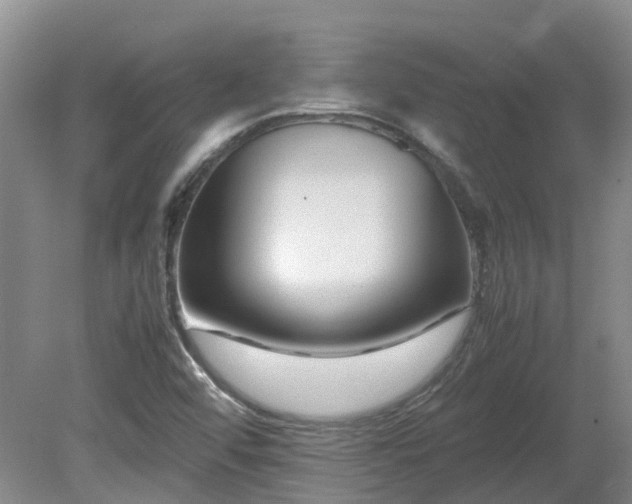 X0000081431456200701191609