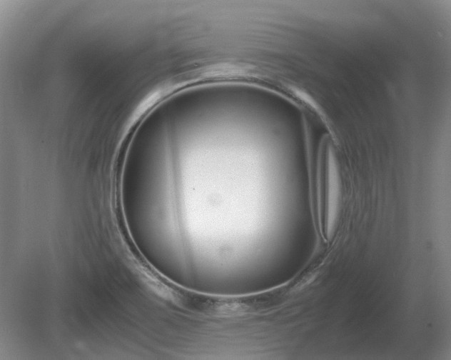 X0000081431467200701191609