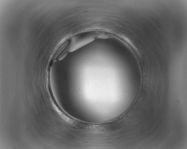 X0000081431476200701191609