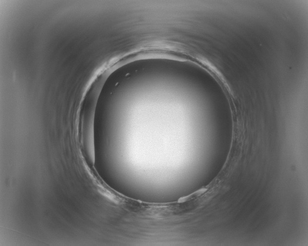 X0000081431477200701191609