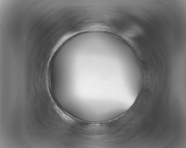 X0000081431478200701191609