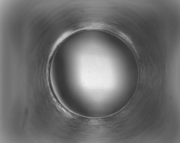 X0000081431480200701191609