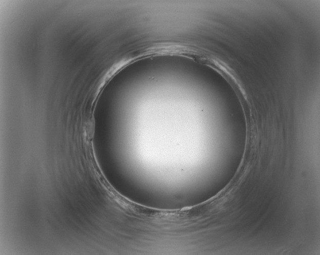 X0000081431481200701191609