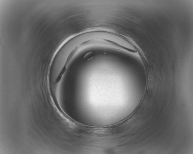 X0000081431484200701191609
