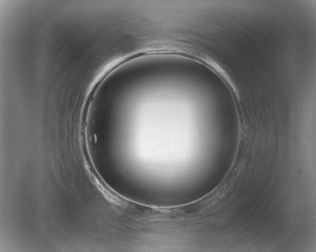 X0000081431485200701191609