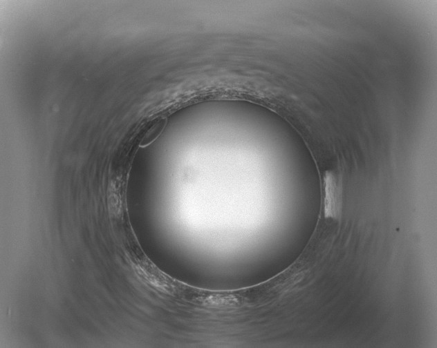 X0000081431491200701191608