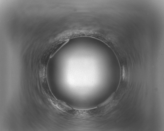 X0000081431492200701191608