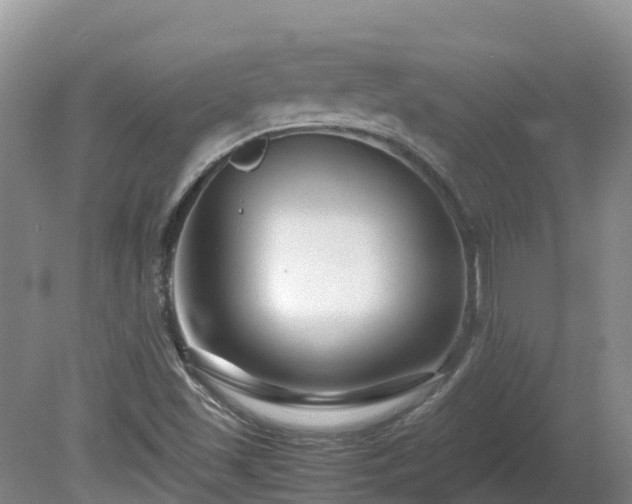 X0000081431501200701191608
