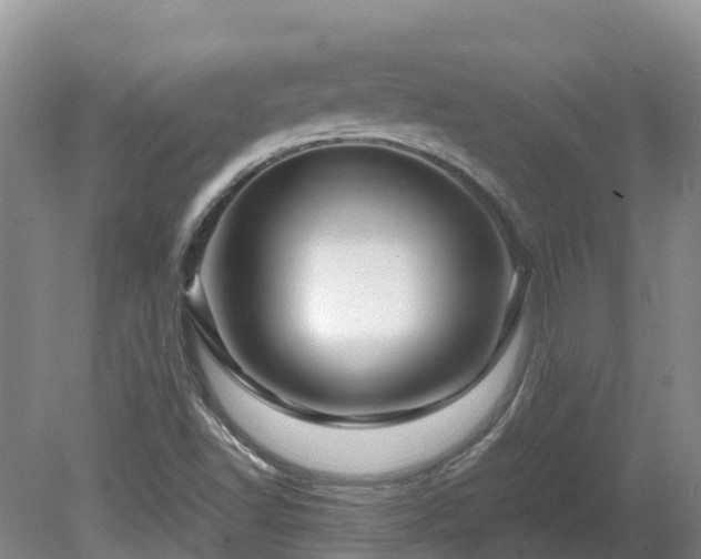X0000081431502200701191608