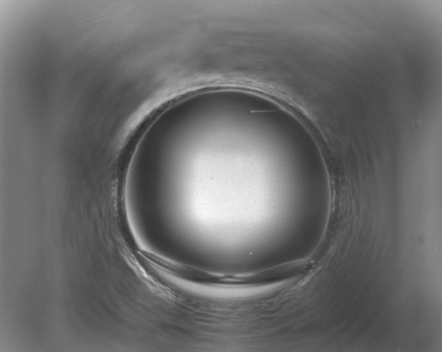 X0000081431503200701191608