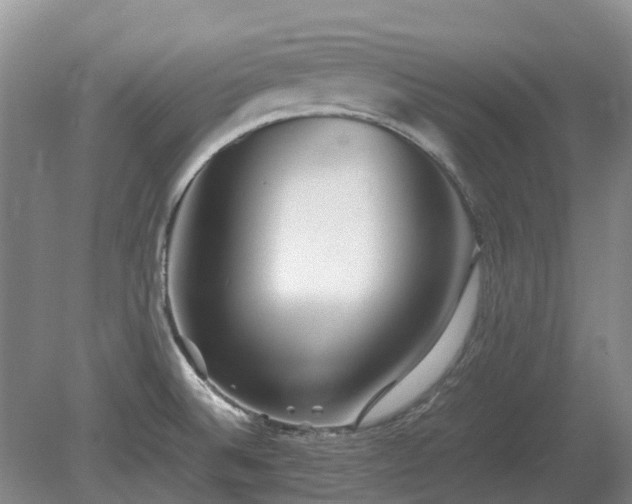 X0000081431524200701191608