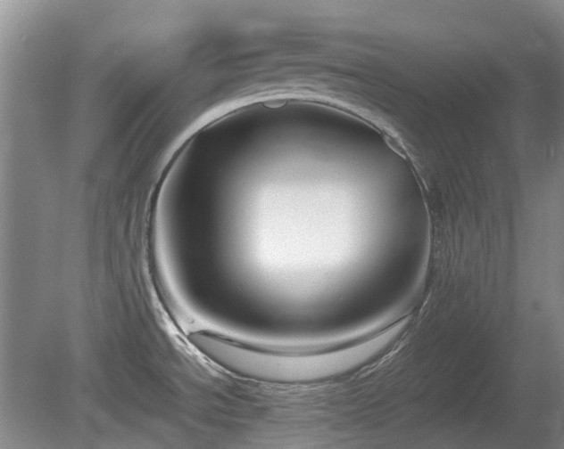 X0000081431534200701191609