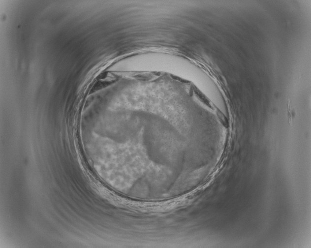 X0000081430001200701261834