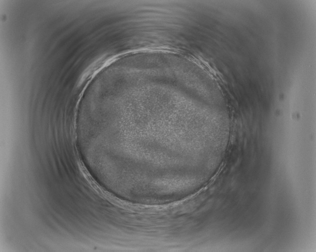 X0000081430002200701261834