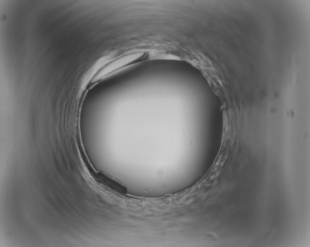 X0000081430003200701261834