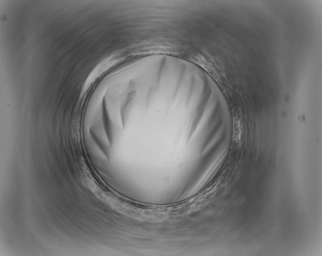 X0000081430004200701261834