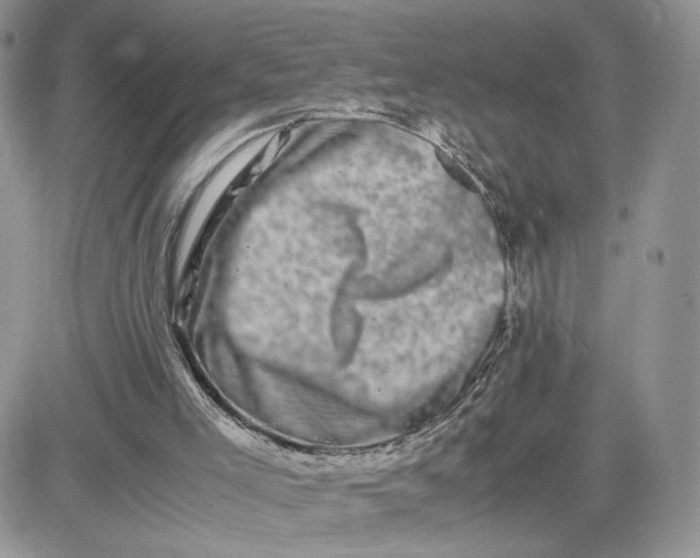 X0000081430005200701261834