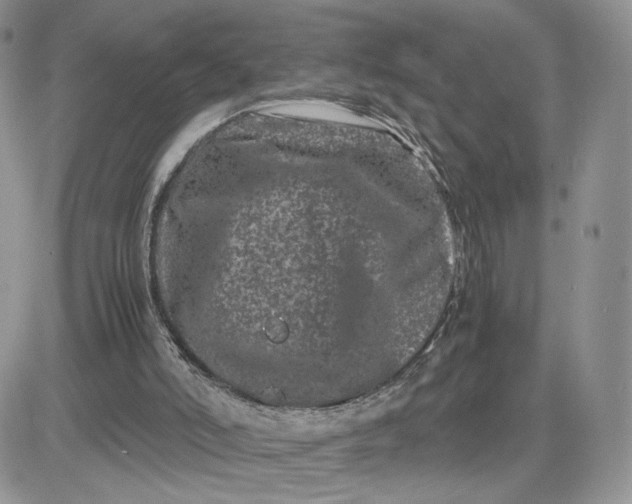 X0000081430006200701261834