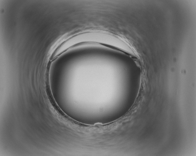 X0000081430007200701261834