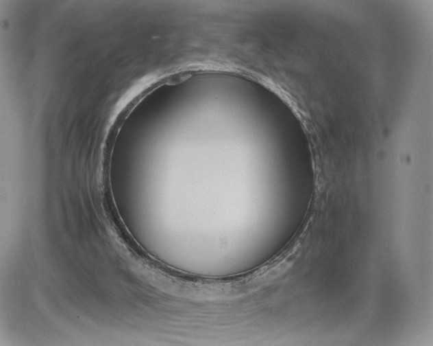 X0000081430008200701261834