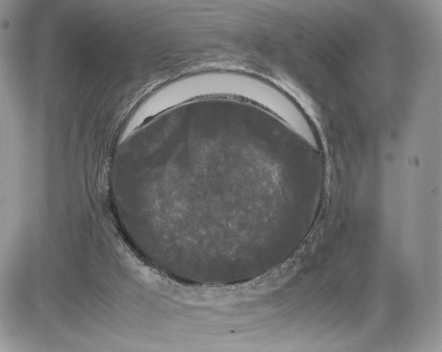 X0000081430009200701261834