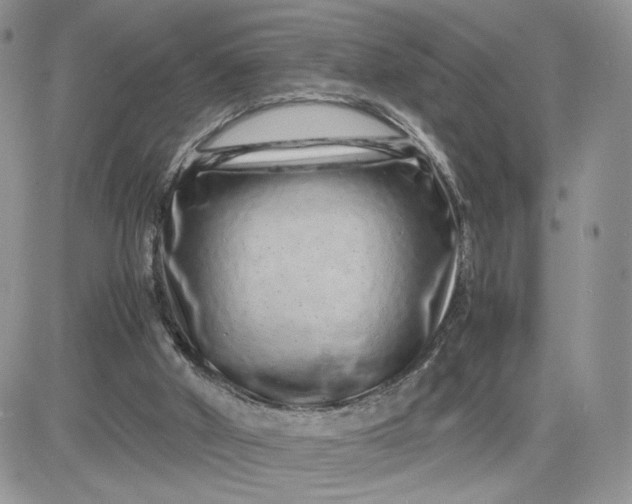 X0000081430010200701261834