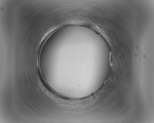 X0000081430011200701261834